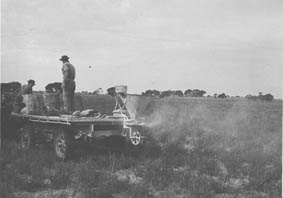 Spreading superphosphate for pasture growth near Tintinara, c.1940.