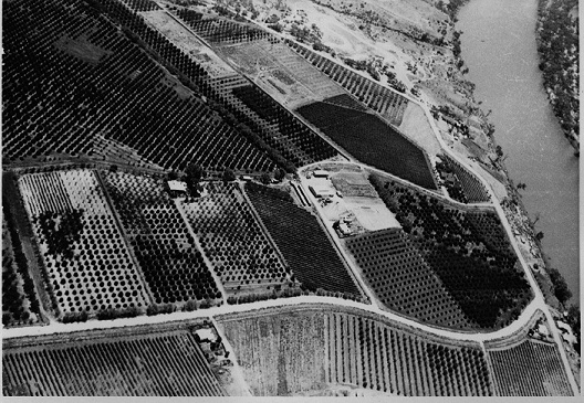 aerial view of berri experimental orchid