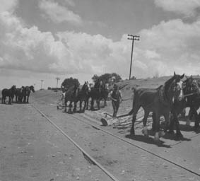 Clearing soil drift from railway line, Murray Mallee, c.1940.