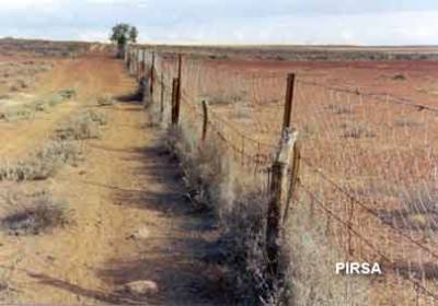 Section of the dog fence at Wilpoorinna