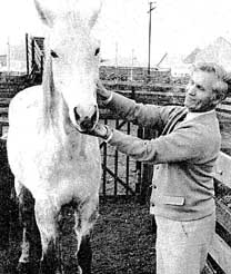Jack Jones investigating horse health issue
