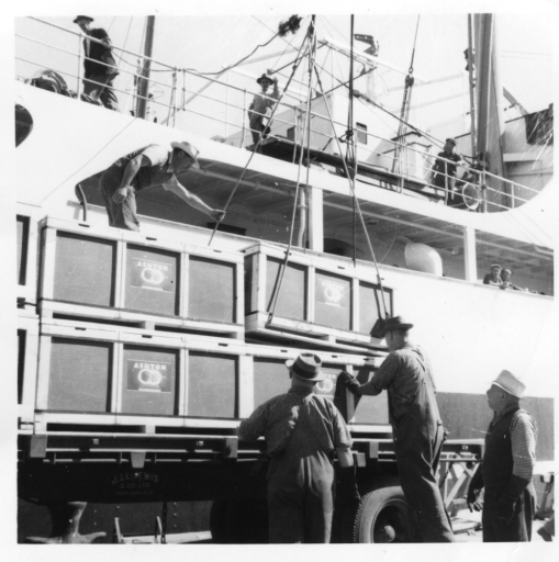 Trial bulk export consignments of Cleopatra apples - 1967