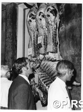 Beef_Carcase_appraisal_Gepps_Cross_1973