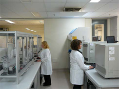 Root Disease Testing Service Laboratory