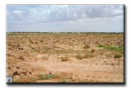 Landscape - The site contours and colour blend with the surroundings; but the earthwork disturbance (eg ripping, rolling, respreading) is still prominent