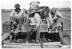 Men on Tractor