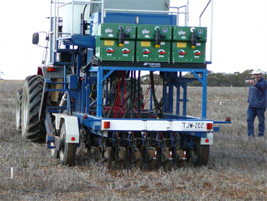 Banding Fungicides – a new approach to Rhizoctonia control