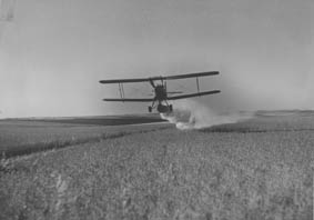 Aerial spraying of linseed crop near Alma
