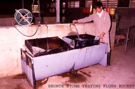 Dr B. Stone adjusts the filling of the flush buckets in the grower shed. 