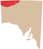 Musgrave Province