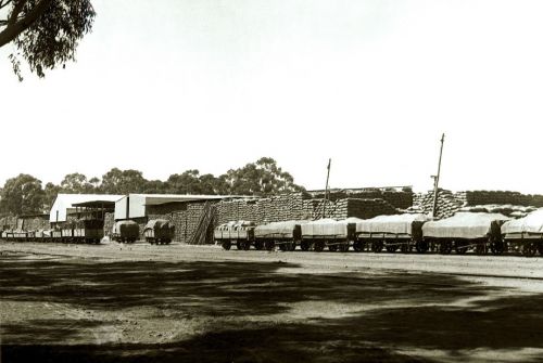 Grain stacks in Jamestown in 1910.