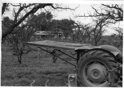 Early model picking and pruning platform %u2013 1965.