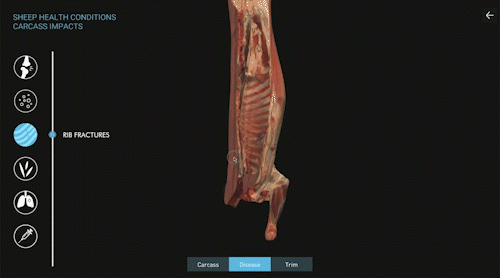 Interactive display of sheept carcass with information screen