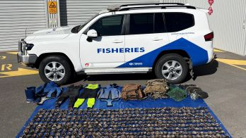 Two men convicted after illegal abalone possession at Hallett Cove