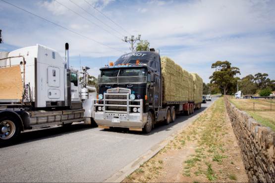 Supporting Eyre Peninsula farmers to access livestock feed during the drought