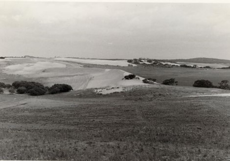 The stabilized dune on Wanbi Research Centre in the foreground, looking towards the still eroding areas on the neighbouring property