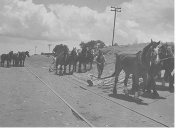 Clearing drift sand from a railway line in the 1940s