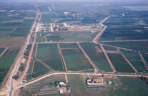 Irrigation in the Berri Irrigation District, circa 1980. Areas of salinized land due to shallow watertables can be seen in the centre of the photograph