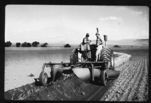 Constructing contour banks with a Booleroo plough in the 1960s.
