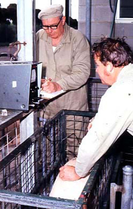 Merv Richards records as Paul Heap measures sonar backfat readings.