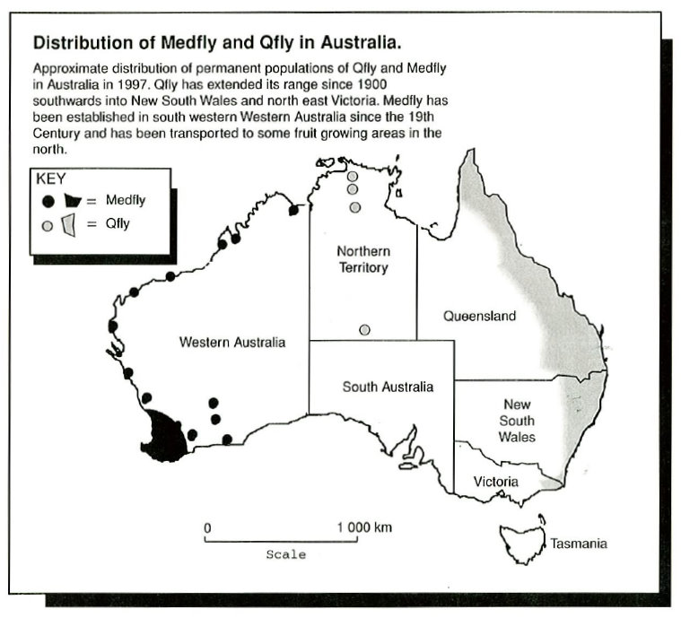 Distribution of Medfly and Qfly in Australia