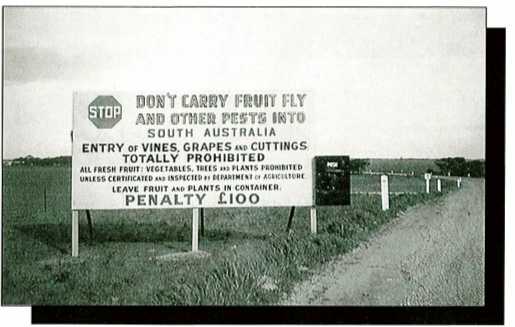 Signboard at Pinnaroo around 1947