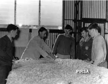 Photo No. 108718. Andrew Brown, wool classing instructor, demonstrating fleece skirting to a group of trainees in Ken Trengove's Broughton Park shed at Spalding in 1962.