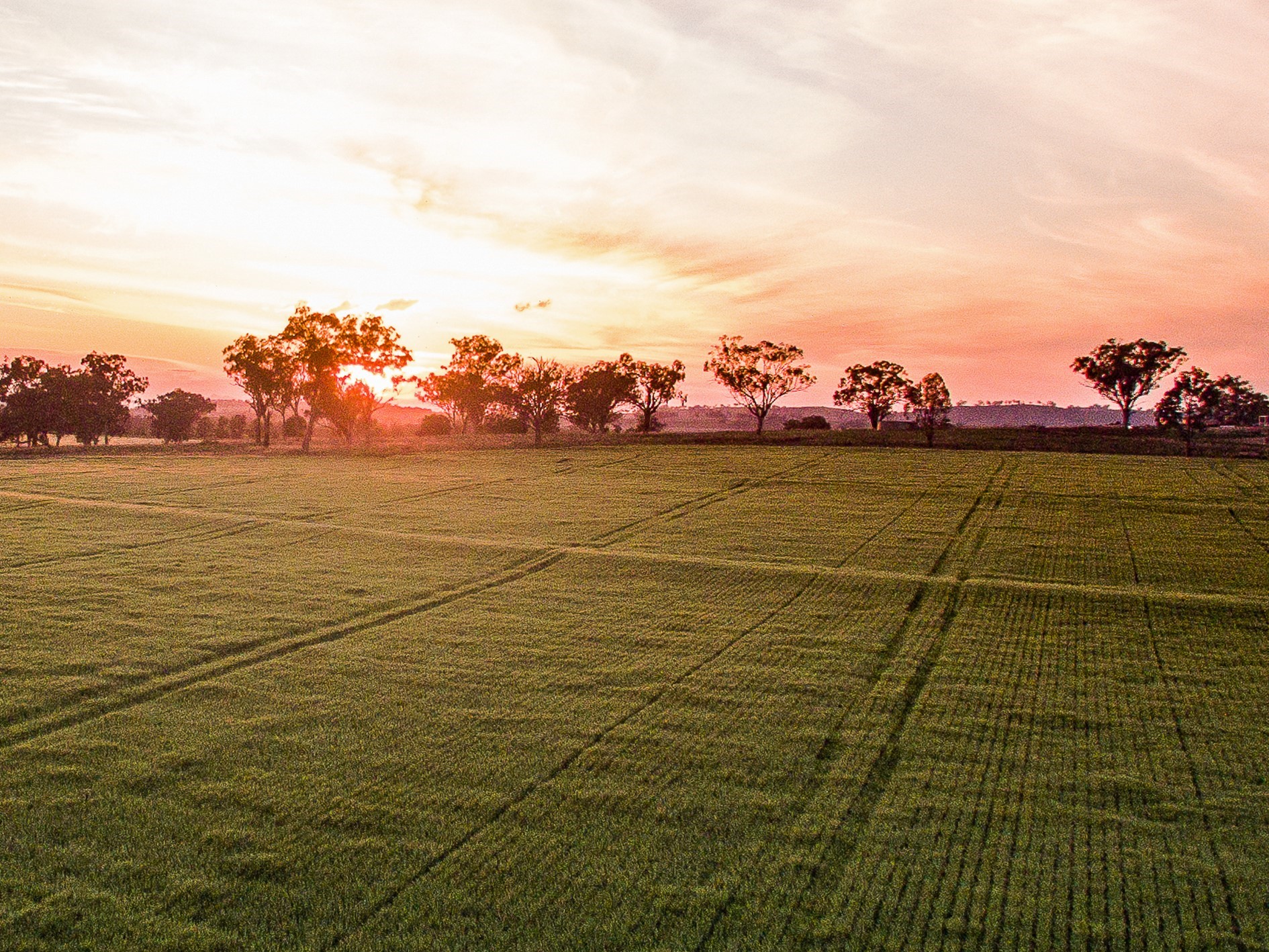 Seeding underway but dependent on rain